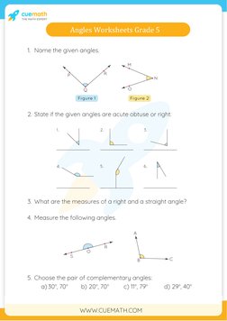 Grade 5 Angles Worksheet Activities | PDF | Angle | Triangle