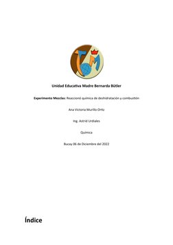 Unidad Educativa Madre Bernarda Bütler
Experimento Mezclas: Reaccionó química de deshidratación y combustión
Ana Victoria Mur