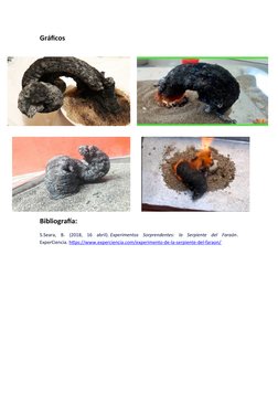 Gráficos 
Bibliografía:
S.Seara,  B.  (2018,  16  abril). Experimentos  Sorprendentes:  la  Serpiente  del  Faraón.
ExperCien