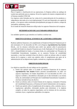Sistema de Registro 
Para el registro y clasificación de sus operaciones, la Empresa utiliza un catálogo de 
cuenta muy par