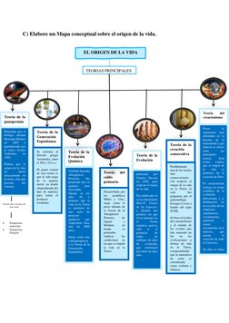 EL ORIGEN DE LA VIDA  
TEORIAS PRINCIPALES  
Teoría de la 
Evolución 
Química 
Teoría 
del 
caldo 
primario 
Desarrol