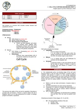 Cell Cycle: Mitosis and Meiosis Overview | PDF | Mitosis | Chromosome