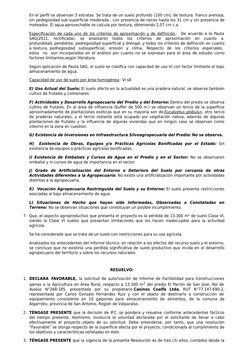 En el perﬁl se observan 3 estratas. Se trata de un suelo profundo (100 cm), de textura  franco arenosa,
sin pedegosidad sub s