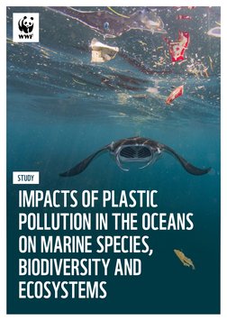 WWF-Impacts of Plastic Pollution in The Ocean On Marine Species