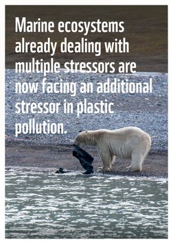 WWF-Impacts of Plastic Pollution in The Ocean On Marine Species