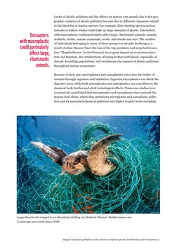 in Pollution Plastic of WWF-Impacts 「REFLECTION\\"Naked\\"」（Mr.Children） The Species Marine On Ocean 邦楽
