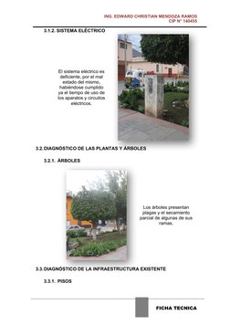 ING. EDWARD CHRISTIAN MENDOZA RAMOS
CIP N° 140455
3.1.2. SISTEMA ELÉCTRICO
El siste