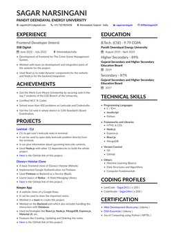 Aspiring Software Developer Profile | PDF | Systems Engineering ...