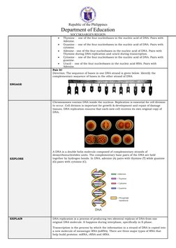Republic of the Philippines
Department of Education
SOCCSKSARGEN REGION

Thymine -  one of the four nucleobases in the nucle