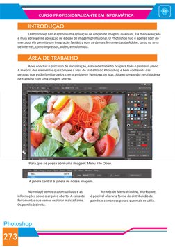 CURSO PROFISSIONALIZANTE EM INFORMÁTICA
273
Photoshop
INTRODUÇÃO
 
O Photoshop não é apenas uma aplicação de edição de imagen