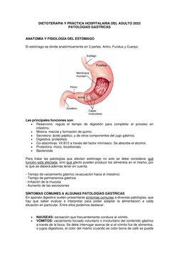 DIETOTERAPIA Y PRÁCTICA HOSPITALARIA DEL ADULTO 2022 
PATOLOGIAS GASTRICAS 
 
ANATOMÍA Y FISIOLOGÍA DEL ESTÓMAGO 
 
El estóma