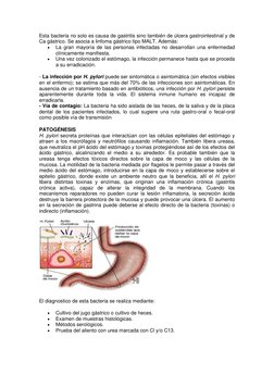 Esta bacteria no solo es causa de gastritis sino también de úlcera gastrointestinal y de 
Ca gástrico. Se asocia a linfoma gá