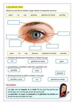 2. Los ojos por fuera 
Observa y escribe su nombre; luego colorea la respuesta correcta.  
 
 
 
 
 
 
 
 
 
 
 
 
 
 
• Pr