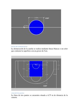 Ancho de la demarcación 
La demarcación de la cancha se realiza mediante líneas blancas o un color 
que contraste la superf