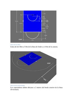 Área de tiro libre 
Línea de tiro libre a 5.8m de la línea de fondo y a 4.6m de la canasta. 
 
 
Retiro de los aficionado