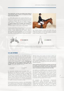 Visto desde lado, una línea recta deberá pasar desde el 
codo del jínete, sobre su mano y a lo largo de la rienda, 
hasta la