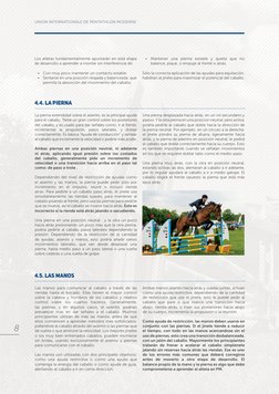 La pierna extendidad sobre el asiento, es la principal ayuda 
para el caballo. Tiene un gran control sobre los posteriores 
d