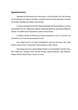 i 
Agradecimentos  
Agradeço primeiramente aos meus pais e minha querida irmã, que sempre 
me incentivaram em todos os desafi