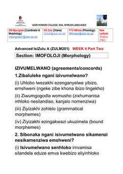 Izivumelwano ZesiZulu: Uhlaka Nezibonelo | PDF | Grammatical Number ...