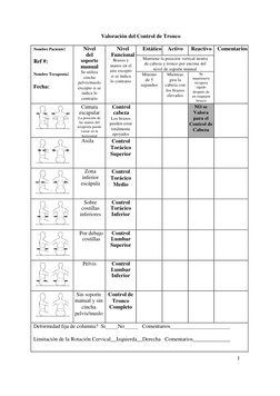 Valoración del Control de Tronco 
 
Nombre Paciente: 
 
Ref #: 
 
Nombre Terapeuta: 
Fecha: 
Nivel 
del 
soporte 
manual 
Se