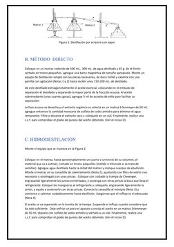 Figura 1. Destilación por arrastre con vapor 
 
 
B. MÉTODO  DIRECTO 
 
Coloque en un matraz redondo de 500 mL., 300 mL. de a