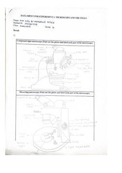 Microscopy Lab Report: BIO122 Experiment 1 | PDF | Microscope | Cell ...