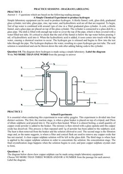 IELTS Diagram Labelling Guide | PDF | Axon | Neuron
