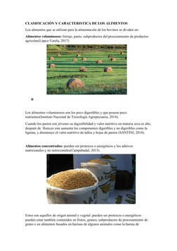 CLASIFICACIÓN Y CARACTERISTICA DE LOS ALIMENTOS
Los alimentos que se utilizan para la alimentación de los bovinos se dividen