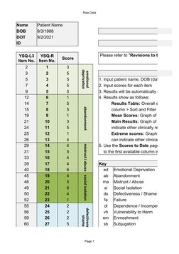 Raw Data
Page 1
Name
Patient Name
DOB
9/3/1988
DOT
9/2/2021
ID
S
Score
2
1
3
3
2
5
5
3
5
1. Input patient name, DOB (date of