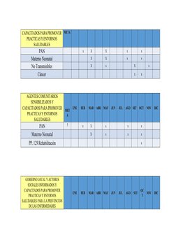 CAPACITADOS PARA PROMOVER
PRACTICAS Y ENTORNOS
SALUDABLES
META
META
PAN
x
X
X
x
x
Materno Neonatal
X
X
x
x
No Transmisibles
X