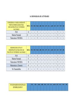 14. CRONOGRAMA DE ACTIVIDADES
CONSEJERIAS A FAMILIAS MEDIANTE
VISISTAS DOMICILIARIAS PARA
EDUCAR PRACTICAS Y ENTORNOS
SALUDAB