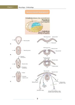         Chapter 1 
Neurology – Embryology 
 
 
 
2 
 
 
 
 
 
 
 
 
 
 
 
