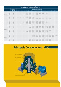 CAPACIDADE DE PRODUÇÃO (m³/h)
MODELO
CÂMARA
ALIMENTAÇÃO 
MAX. (mm)
ABERTURA DA BOCA DE SAÍDA (mm)
4
6
8
10
13
16
19
22
25
32