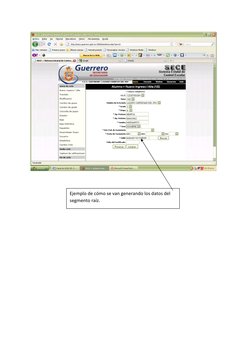  
 
 
 
 
 
 
 
 
 
 
 
 
 
Ejemplo de cómo se van generando los datos del 
segmento raíz. 
