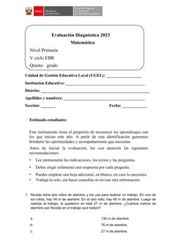 Unidad de Gestión Educativa Local (UGEL): _________________ 
Institución Educativa: ______________________________________