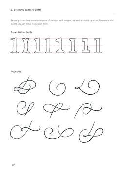 2. DRAWING LETTERFORMS
10
Below you can see some examples of various serif shapes, as well as some types of f ourishes and 
s