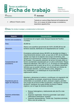 Nombre:
  Actividad:

Jefferson Pulache Juárez
Teniendo en cuenta el Mapa Nacional de Ecosistemas del 
Perú, con tu equipo