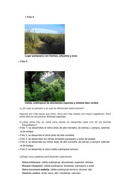 ●Foto 4
Lugar pampeano con hierbas, arbustos y aves.
●Foto 5
Cálida, subtropical de abuntantes especies y árboles bien verdes