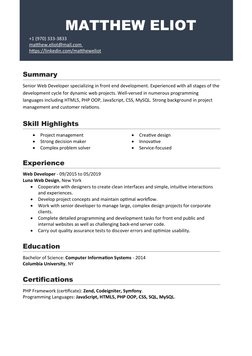 Senior Web Developer Profile | PDF