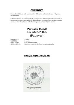 OBJETIVO 
 
Desarrollar habilidades en la determinación y elaboración de fórmulas florales y diagramas 
florales simples.