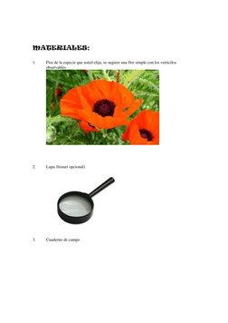 MATERIALES: 
 
1. 
Flor de la especie que usted elija, se sugiere una flor simple con los verticilos 
observables