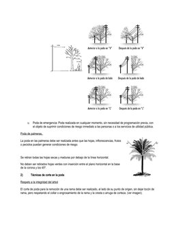 b)
Poda de emergencia: Poda realizada en cualquier momento, sin necesidad de programación previa, con 
el objeto de suprimir