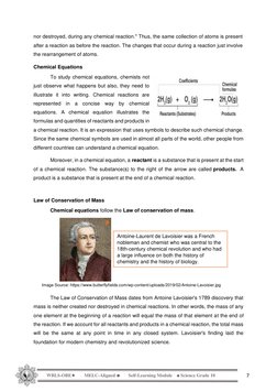 Grade 10 Chemical Reactions Module | PDF | Chemistry | Chemical Reactions