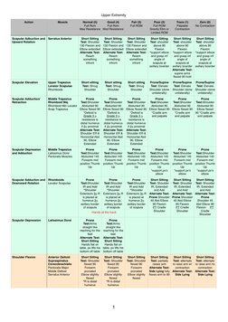 Upper Extremity Muscle Testing Guide | PDF | Thumb | Anatomical Terms ...