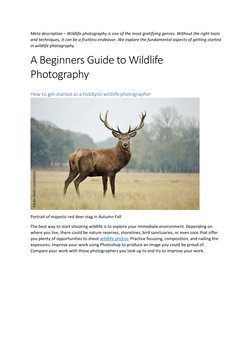 Meta description – Wildlife photography is one of the most gratifying genres. Without the right tools 
and techniques, it can