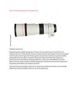 Gear if starting (equipment for beginners) 
 
Telephoto camera lens 
A good thing about wildlife photography is that you've m