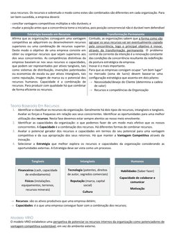 seus recursos. Os recursos e sobretudo o modo como estes são combinados são diferentes em cada organização. Para 
ser bem-suc