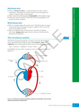WJEC GCSE Double Science Revision Guide | PDF | Heart | Heart Valve