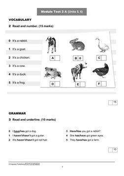 Smiles 3 Module Test 3 A (Units 5, 6) | PDF | Mammals