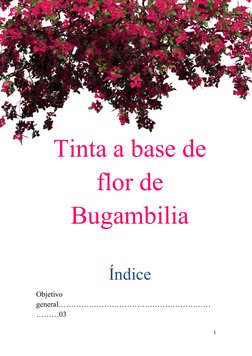 Tinta a base de
flor de
Bugambilia
Índice
Objetivo
general……………………………………………………
………03
1
